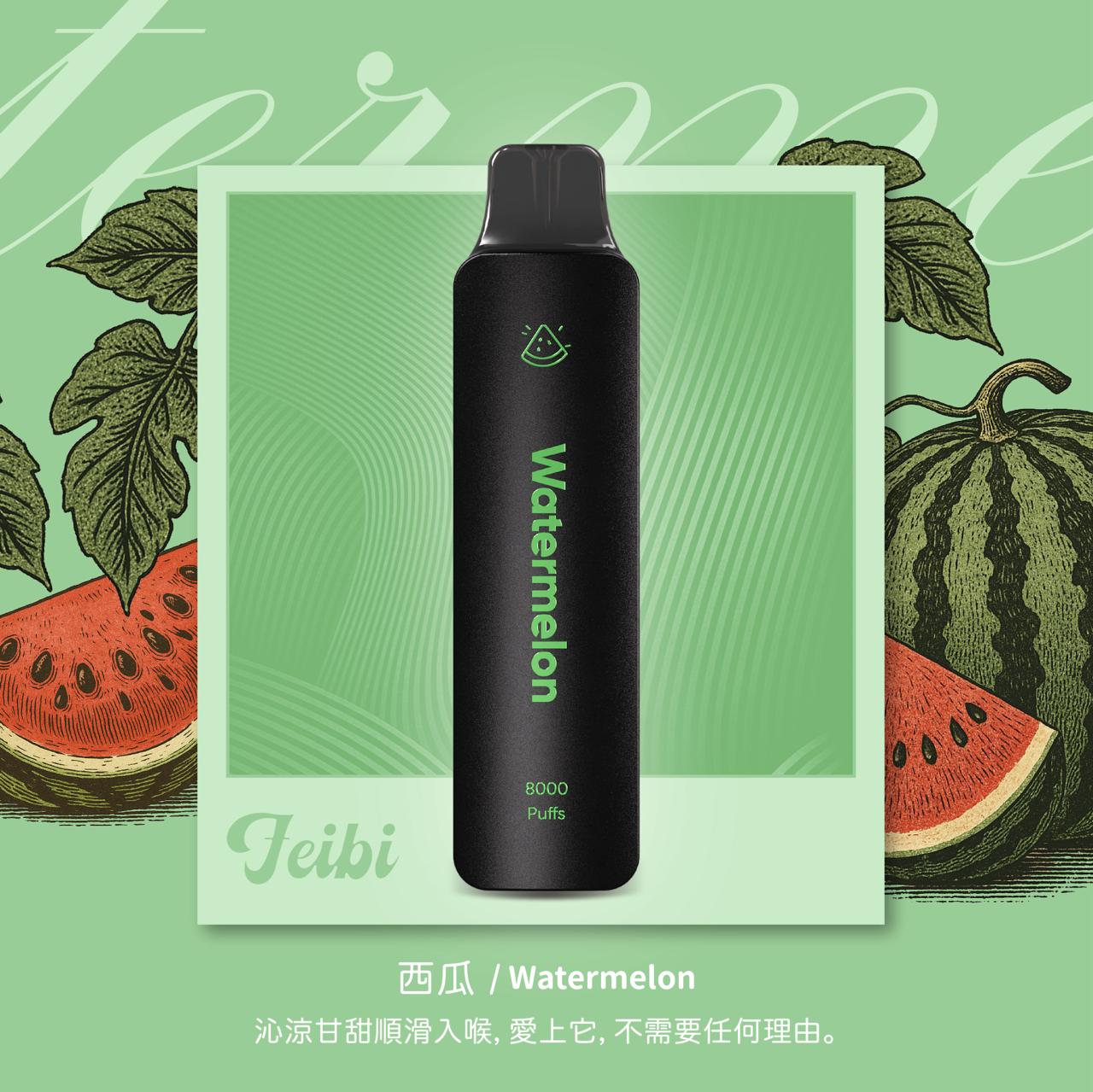 Feibi 菲比一次性主機 8000口